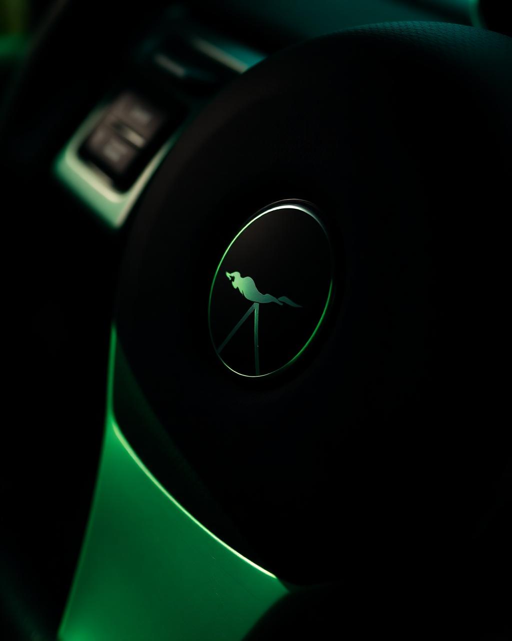 Steering wheel emblem lit by green ambient light